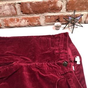 J crew toothpick velvet pants